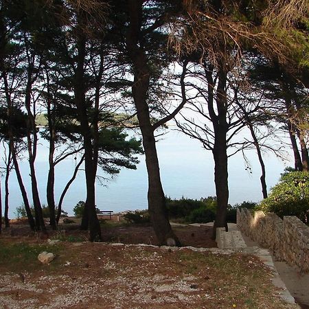 Apartments Matkov - Quite And Peaceful Location Jelsa  Bagian luar foto