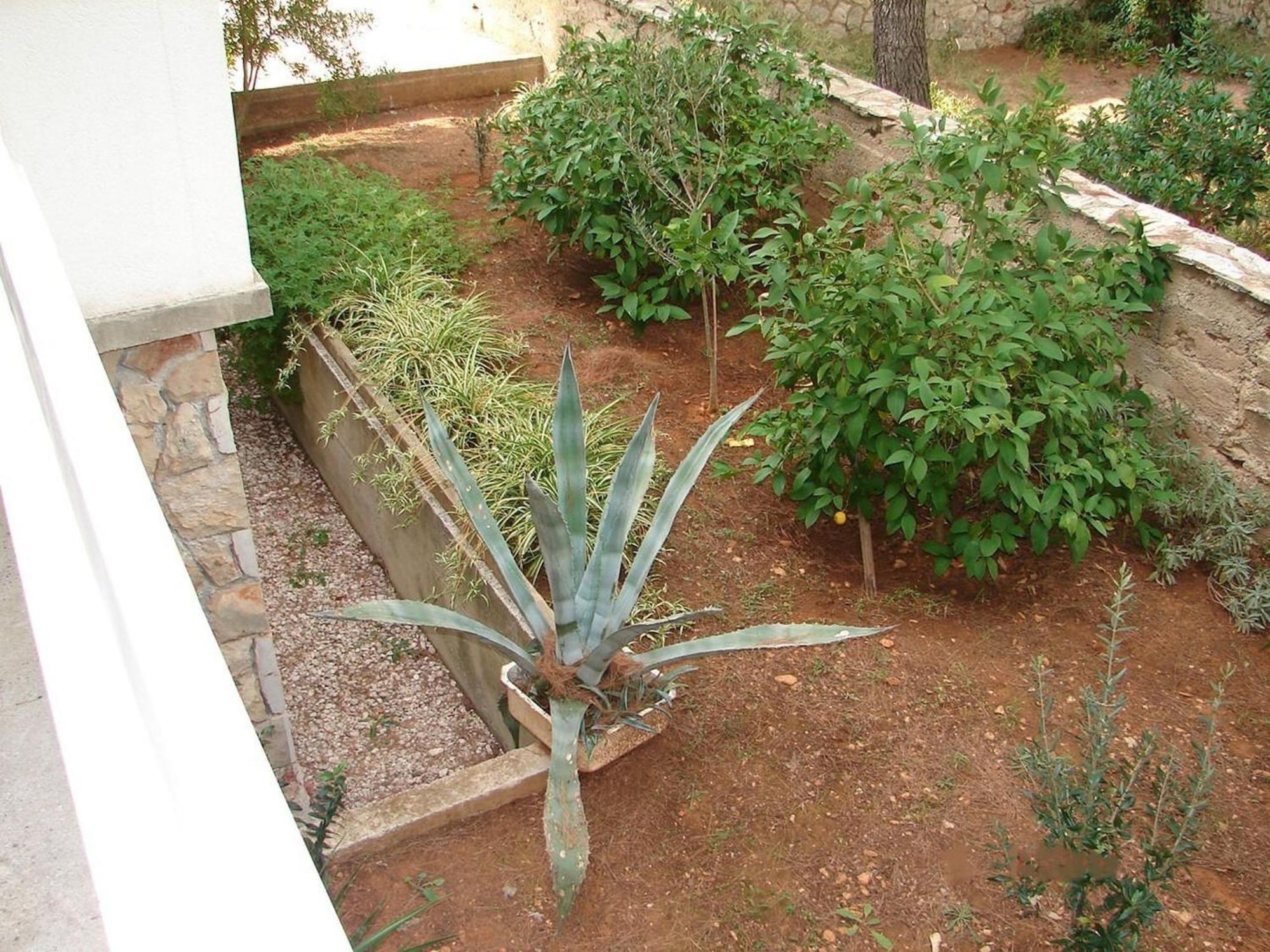 Apartments Matkov - Quite And Peaceful Location Jelsa  Bagian luar foto